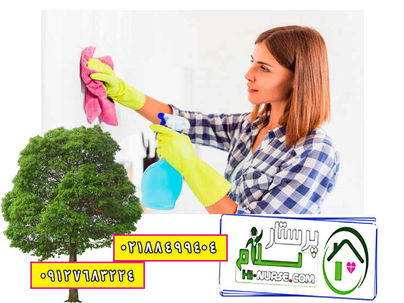 انجام خدمات نظافتی و آشپزی در تهران