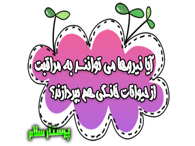 آیا نیروها می توانند به مراقبت از حیوانات خانگی هم بپردازند؟ پرستار سلام