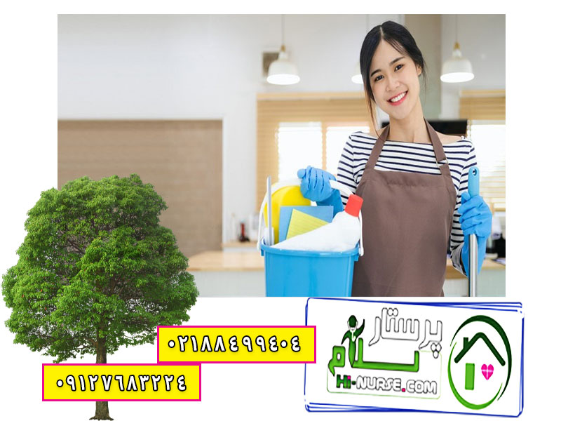 خدمتکار روزانه در منزل تهران