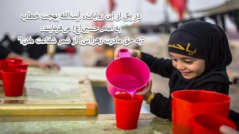 در یکی از این روایات، آیتالله بهجت خطاب به امام حسین(ع) میفرمایند: "به حق مادرت زهرا(س) از شمر شفاعت مکن!"